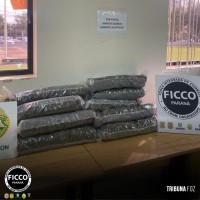 FICCO aprende 14,8 Kg de maconha em empresa de encomenda em Foz do Iguaçu FICCO aprende 14,8 Kg de maconha em empresa de encomenda em Foz do Iguaçu