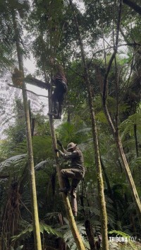 PF e ICMBIO prendem caçador armado no interior do Parque Nacional do Iguaçu PF e ICMBIO prendem caçador armado no interior do Parque Nacional do Iguaçu