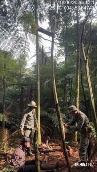 PF e ICMBIO prendem caçador armado no interior do Parque Nacional do Iguaçu PF e ICMBIO prendem caçador armado no interior do Parque Nacional do Iguaçu