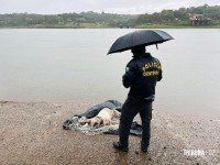 Corpo é localizado no Rio Paraná: homem tinha ferimentos de faca na cabeça e no pescoço Corpo é localizado no Rio Paraná: homem tinha ferimentos de faca na cabeça e no pescoço