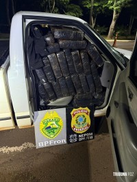 BPFRON e Polícia Federal apreendem 1.142 Kg de maconha em Santa Helena BPFRON e Polícia Federal apreendem 1.142 Kg de maconha em Santa Helena