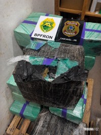 BPFRON e Polícia Federal apreendem 480 Kg de maconha e prendem homem por tráfico de drogas em Santa Tereza do Oeste BPFRON e Polícia Federal apreendem 480 Kg de maconha e prendem homem por tráfico de drogas em Santa Tereza do Oeste