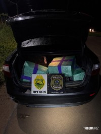 BPFRON e Polícia Federal apreendem 480 Kg de maconha e prendem homem por tráfico de drogas em Santa Tereza do Oeste BPFRON e Polícia Federal apreendem 480 Kg de maconha e prendem homem por tráfico de drogas em Santa Tereza do Oeste