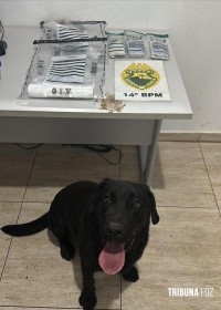PM apreende drogas e prende suspeito por tráfico em Foz do Iguaçu PM apreende drogas e prende suspeito por tráfico em Foz do Iguaçu