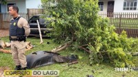 Acidente envolvendo van escolar deixa idoso ferido e mobiliza SAMU em Santa Helena Acidente envolvendo van escolar deixa idoso ferido e mobiliza SAMU em Santa Helena