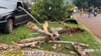 Acidente envolvendo van escolar deixa idoso ferido e mobiliza SAMU em Santa Helena Acidente envolvendo van escolar deixa idoso ferido e mobiliza SAMU em Santa Helena