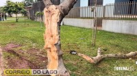 Acidente envolvendo van escolar deixa idoso ferido e mobiliza SAMU em Santa Helena Acidente envolvendo van escolar deixa idoso ferido e mobiliza SAMU em Santa Helena