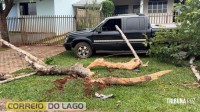 Acidente envolvendo van escolar deixa idoso ferido e mobiliza SAMU em Santa Helena Acidente envolvendo van escolar deixa idoso ferido e mobiliza SAMU em Santa Helena