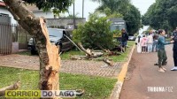 Acidente envolvendo van escolar deixa idoso ferido e mobiliza SAMU em Santa Helena Acidente envolvendo van escolar deixa idoso ferido e mobiliza SAMU em Santa Helena