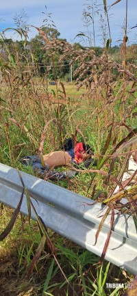 Motociclista morre após grave acidente na Av. Perimetral Leste em Foz do Iguaçu Motociclista morre após grave acidente na Av. Perimetral Leste em Foz do Iguaçu