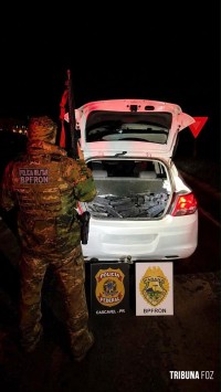 Integração entre forças de segurança resulta na apreensão de 256 Kg de maconha em Santa Tereza do Oeste Integração entre forças de segurança resulta na apreensão de 256 Kg de maconha em Santa Tereza do Oeste