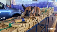 Dois presos após tentarem entrar no Brasil pela Ponte da Amizade com maconha escondida em fundo falso de caminhão Dois presos após tentarem entrar no Brasil pela Ponte da Amizade com maconha escondida em fundo falso de caminhão
