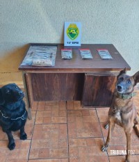 PM prende homem por tráfico de drogas e apreende entorpecentes em Santa Terezinha de Itaipu PM prende homem por tráfico de drogas e apreende entorpecentes em Santa Terezinha de Itaipu