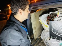 GTA da Guarda Municipal apreende carga de cobre avaliada em R$ 300 mil no Porto Meira em Foz do Iguaçu GTA da Guarda Municipal apreende carga de cobre avaliada em R$ 300 mil no Porto Meira em Foz do Iguaçu