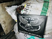 GTA da Guarda Municipal apreende carga de cobre avaliada em R$ 300 mil no Porto Meira em Foz do Iguaçu GTA da Guarda Municipal apreende carga de cobre avaliada em R$ 300 mil no Porto Meira em Foz do Iguaçu