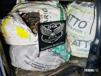 GTA da Guarda Municipal apreende carga de cobre avaliada em R$ 300 mil no Porto Meira em Foz do Iguaçu GTA da Guarda Municipal apreende carga de cobre avaliada em R$ 300 mil no Porto Meira em Foz do Iguaçu