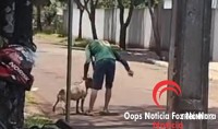 Moradores denunciam ataques de pitbull solto no bairro Jardim São Roque em Foz do Iguaçu Moradores denunciam ataques de pitbull solto no bairro Jardim São Roque em Foz do Iguaçu