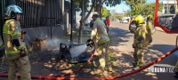 Geladeira pega fogo e mobiliza o Corpo de Bombeiros no Jardim Bourbon Geladeira pega fogo e mobiliza o Corpo de Bombeiros no Jardim Bourbon