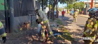 Geladeira pega fogo e mobiliza o Corpo de Bombeiros no Jardim Bourbon Geladeira pega fogo e mobiliza o Corpo de Bombeiros no Jardim Bourbon