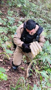 PM apreende 6,6 Kg de maconha na região central de Foz do Iguaçu PM apreende 6,6 Kg de maconha na região central de Foz do Iguaçu