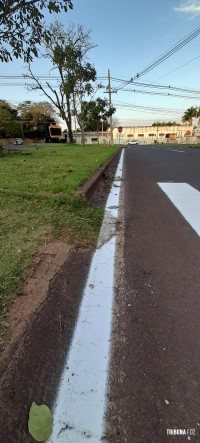 Pintar a grama sobre o asfalto pode? Mas afinal. Quem fiscaliza o Fiscal? Pintar a grama sobre o asfalto pode? Mas afinal. Quem fiscaliza o Fiscal?