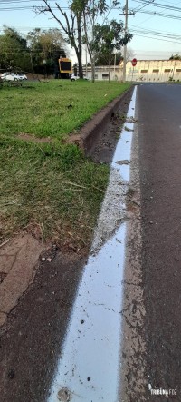 Pintar a grama sobre o asfalto pode? Mas afinal. Quem fiscaliza o Fiscal? Pintar a grama sobre o asfalto pode? Mas afinal. Quem fiscaliza o Fiscal?
