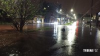 Temporal com mais de 100 mm de chuva provoca alagamentos e queda de árvore em Foz do Iguaçu Temporal com mais de 100 mm de chuva provoca alagamentos e queda de árvore em Foz do Iguaçu