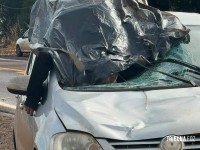 Idoso morre em grave acidente na PR-495 em Missal Idoso morre em grave acidente na PR-495 em Missal