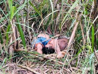 Dois homens são encontrados mortos em canavial no Porto Meira em Foz do Iguaçu Dois homens são encontrados mortos em canavial no Porto Meira em Foz do Iguaçu