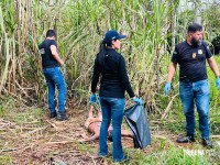 Dois homens são encontrados mortos em canavial no Porto Meira em Foz do Iguaçu Dois homens são encontrados mortos em canavial no Porto Meira em Foz do Iguaçu