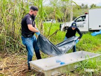 Dois homens são encontrados mortos em canavial no Porto Meira em Foz do Iguaçu Dois homens são encontrados mortos em canavial no Porto Meira em Foz do Iguaçu