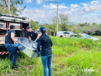 Dois homens são encontrados mortos em canavial no Porto Meira em Foz do Iguaçu Dois homens são encontrados mortos em canavial no Porto Meira em Foz do Iguaçu