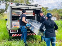 Dois homens são encontrados mortos em canavial no Porto Meira em Foz do Iguaçu Dois homens são encontrados mortos em canavial no Porto Meira em Foz do Iguaçu