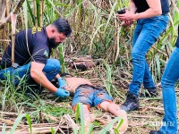 Dois homens são encontrados mortos em canavial no Porto Meira em Foz do Iguaçu Dois homens são encontrados mortos em canavial no Porto Meira em Foz do Iguaçu
