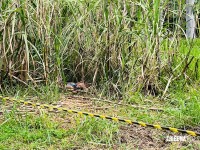Dois homens são encontrados mortos em canavial no Porto Meira em Foz do Iguaçu Dois homens são encontrados mortos em canavial no Porto Meira em Foz do Iguaçu
