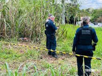 Dois homens são encontrados mortos em canavial no Porto Meira em Foz do Iguaçu Dois homens são encontrados mortos em canavial no Porto Meira em Foz do Iguaçu