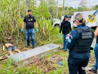 Dois homens são encontrados mortos em canavial no Porto Meira em Foz do Iguaçu Dois homens são encontrados mortos em canavial no Porto Meira em Foz do Iguaçu