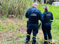Dois homens são encontrados mortos em canavial no Porto Meira em Foz do Iguaçu Dois homens são encontrados mortos em canavial no Porto Meira em Foz do Iguaçu
