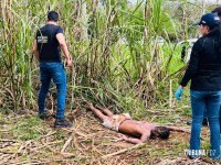 Dois homens são encontrados mortos em canavial no Porto Meira em Foz do Iguaçu Dois homens são encontrados mortos em canavial no Porto Meira em Foz do Iguaçu