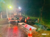 Veículo colide com arvore e deixa seis feridos e dois mortos na Av. Felipe Wandscheer Veículo colide com arvore e deixa seis feridos e dois mortos na Av. Felipe Wandscheer