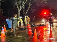 Veículo colide com arvore e deixa seis feridos e dois mortos na Av. Felipe Wandscheer Veículo colide com arvore e deixa seis feridos e dois mortos na Av. Felipe Wandscheer