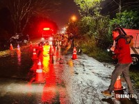Veículo colide com arvore e deixa seis feridos e dois mortos na Av. Felipe Wandscheer Veículo colide com arvore e deixa seis feridos e dois mortos na Av. Felipe Wandscheer