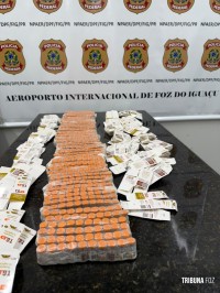 Policia Federal prende homem por contrabando de medicamentos no aeroporto de Foz do Iguaçu Policia Federal prende homem por contrabando de medicamentos no aeroporto de Foz do Iguaçu