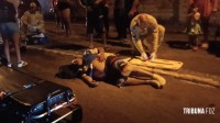 Siate atende duas vítimas após colisão entre moto e bicicleta no Porto Meira Siate atende duas vítimas após colisão entre moto e bicicleta no Porto Meira