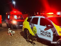 Homem é executado a tiros no Gleba Guarani e suspeitos são presos minutos após o crime em Foz do Iguaçu Homem é executado a tiros no Gleba Guarani e suspeitos são presos minutos após o crime em Foz do Iguaçu