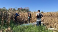 Corpo de homem é encontrado em plantação de milho durante colheita no Jardim Paraná em Foz do Iguaçu Corpo de homem é encontrado em plantação de milho durante colheita no Jardim Paraná em Foz do Iguaçu