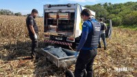 Corpo de homem é encontrado em plantação de milho durante colheita no Jardim Paraná em Foz do Iguaçu Corpo de homem é encontrado em plantação de milho durante colheita no Jardim Paraná em Foz do Iguaçu