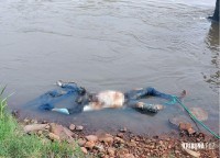 O corpo de um homem é encontrado no rio Monday, em Minga Guazú, no Paraguai O corpo de um homem é encontrado no rio Monday, em Minga Guazú, no Paraguai