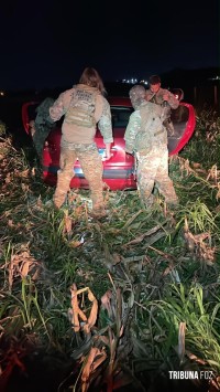 PF, PM e FAB resultam na apreensão de 349 quilos de maconha, cigarros e na prisão de um indivíduo em Foz do Iguaçu PF, PM e FAB resultam na apreensão de 349 quilos de maconha, cigarros e na prisão de um indivíduo em Foz do Iguaçu