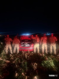 PF, PM e FAB resultam na apreensão de 349 quilos de maconha, cigarros e na prisão de um indivíduo em Foz do Iguaçu PF, PM e FAB resultam na apreensão de 349 quilos de maconha, cigarros e na prisão de um indivíduo em Foz do Iguaçu